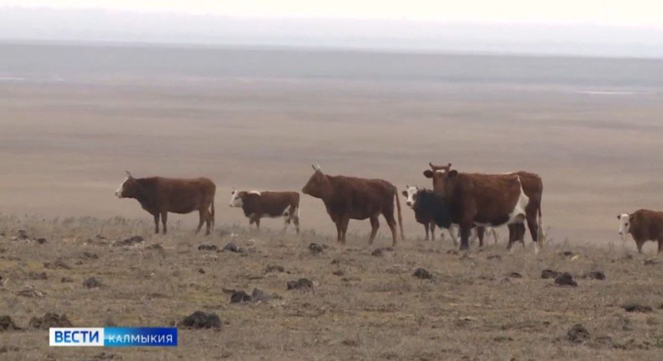 ���������������� ��������� �������� ��������� ������ � �������, �������� ���������� ���������