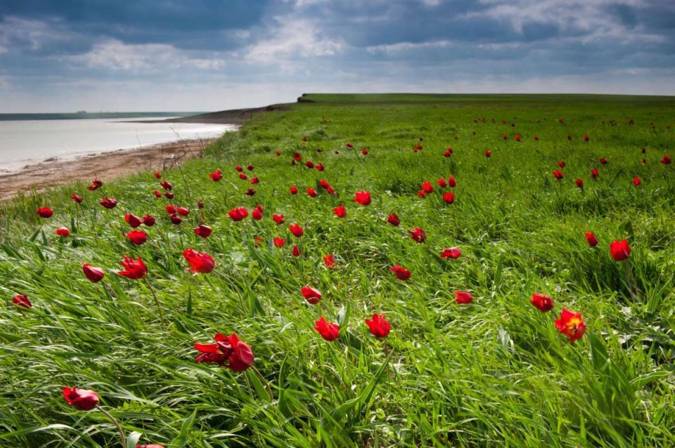 � ������ ������� ������������ ���������� � ����������� ������ ����� � ������ �������� ���� ���������