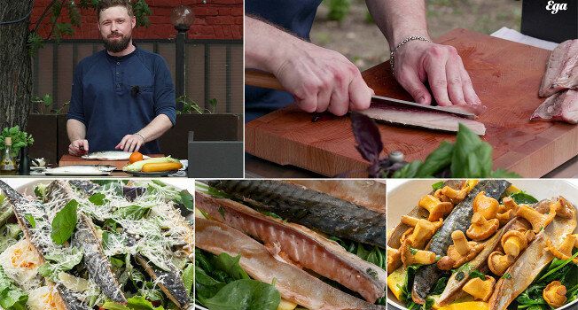 ������ ������������: �������� �� �����