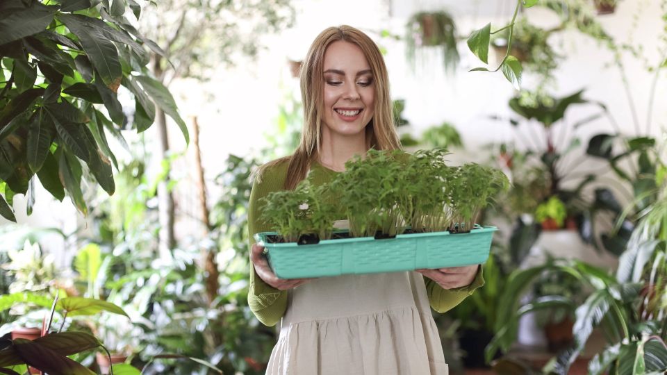 ��� ��������� ��������� ����� ��� �������: ������� �� � ����� ����� ��������