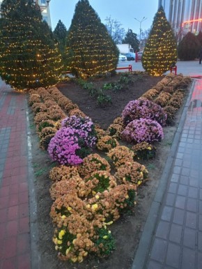 Доброе утро!. Сегодня 15 декабря, понедельник, мы представляем вам погоду на этот день