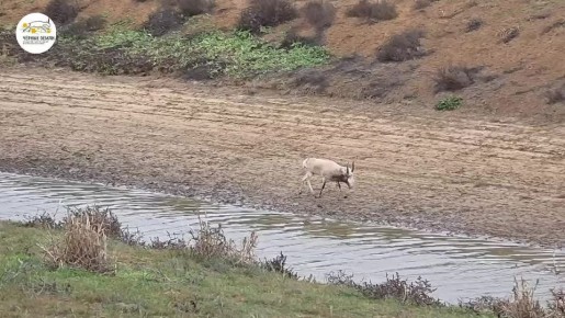 ����������� ���������� ����� ������� ������