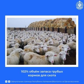 Калмыкия вошла в зимовку скота с достаточным запасом грубых кормов – поголовье обеспечено ими на 102%