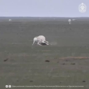 ���������� �׸���� ����� ������� ����������� ������� ������ �� ����� ���������� �������� � ����� �������� � ������ ���� ��� �������