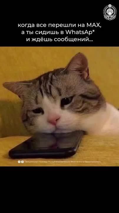 � ��� �������� ������������ �����- � ����������� ���� ��� ������ ��������-����������, �������� �������� ����� � �����, ������� ��������� �����������, ���������� �������� �������� ������ �� 4 ��, ������, ��-��������, ������...