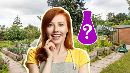 � ���� ����������� ������: ��� ��������� ��������� ������� ����� � �������� ����������