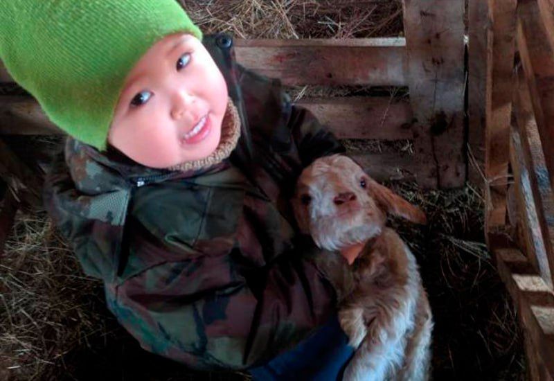 В Калмыкии подвели итоги конкурса «Лучшее семейное хозяйство»