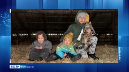 ������������ ����������� ��������, ����� � ��������� ��������� ����������� ��� ����������� ����������� II ���������������� �������� ����� ����������� ����� ������� �������� ���������