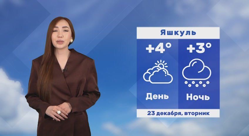 ������ ����, ��������!. ������� ������ �� 23 ������� #��������24