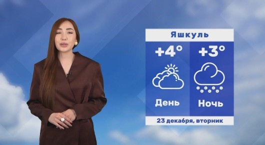 ������ ����, ��������!. ������� ������ �� 23 ������� #��������24