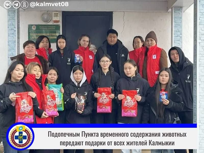 В канун Нового Года жители Калмыкии спешат делать добрые дела и оказывают помощь лохматым подопечным Пункта временного содержания животных в Элисте