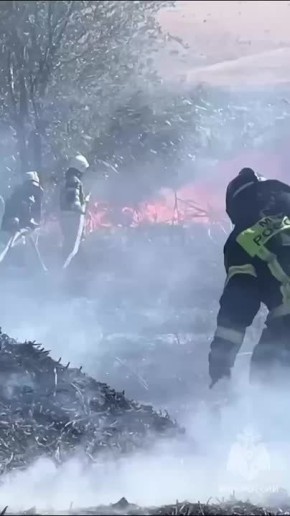 ��������� �� ��� �������� � MAX!