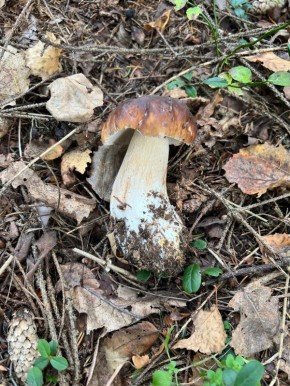 ��������� ������ ����� ������: ��� ������ ������� 2025 ����