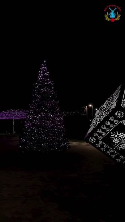 Настоящая новогодняя сказка происходит на улицах Яшалты