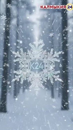 �� ������ ���� �������� ������ ������