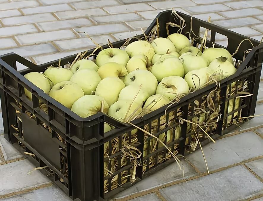 ��� �������� �������� ����� �� �����: ������� �������� � ������ �����