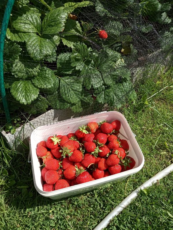 ����������� ��������� ��� ����: ��� ������� ���� �������� �������