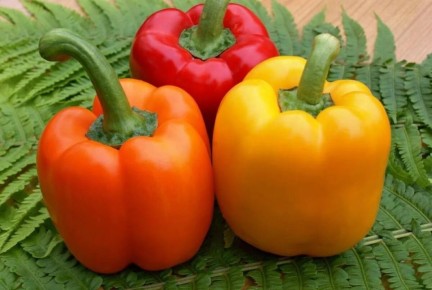 Как выбрать сладкие сорта перца для ранней посадки: 7 лучших вариантов