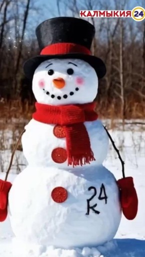 � �����������, ��������!. #��������24