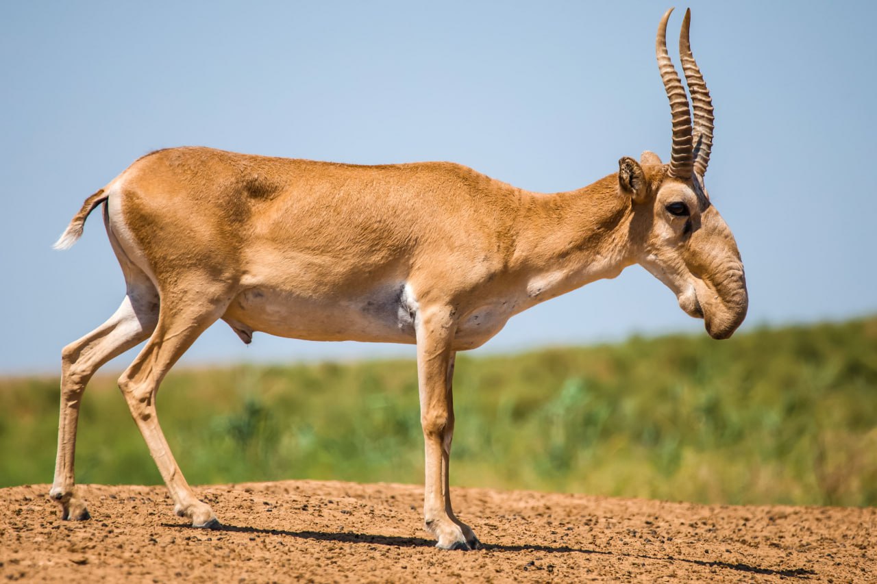 Фотограф из Элисты в тройке лучших на Юге России! Фотограф из Элисты в тройке лучших на Юге России!