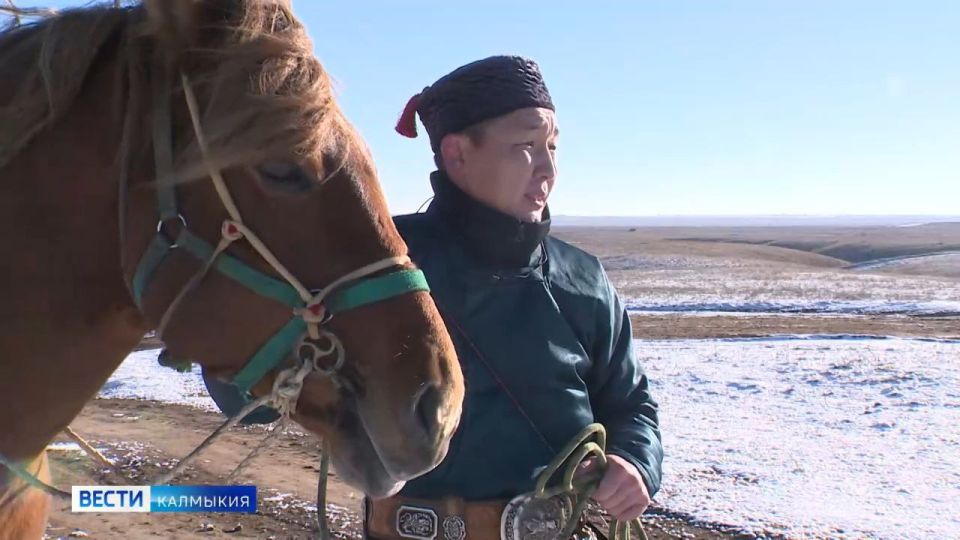 Наступающий 2026 год пройдёт под покровительством Огненной Лошади