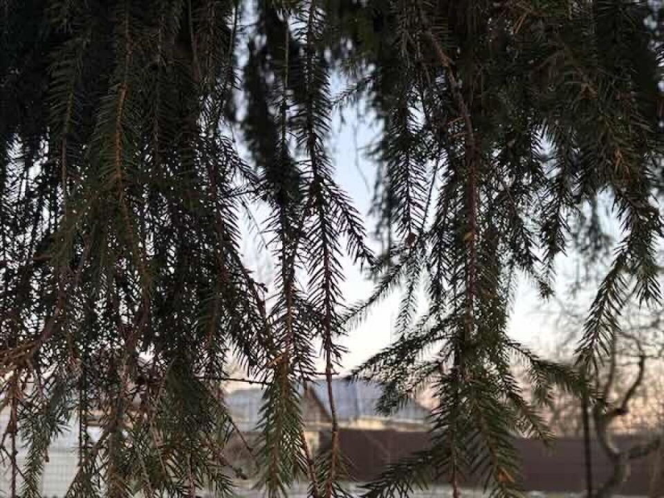 Изменения, которые ждут жителей Брянска с 1 января 2026 года