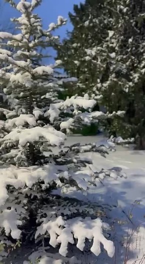 �������� ������ ���, ������� ������������� ��� �� ���������� �������, ������ ���� � �� ���������, ��� ������� ��� ������