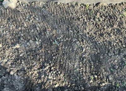 ��� ������, ����� ����� � ��� �� �������: ������ ������ ��� ��������� ����������