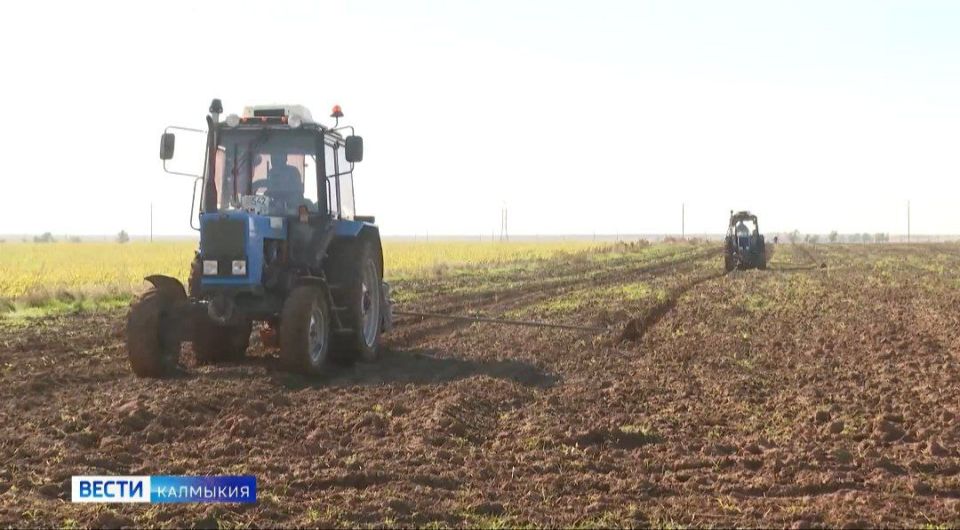 �������� �� ������ 2025 ���� ������� ����� � ���-5 ����� �������� � �������������� �������� ������ �� ��������������������� ����� ��������� ���