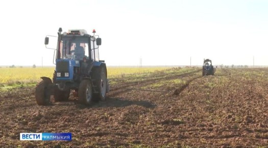 �������� �� ������ 2025 ���� ������� ����� � ���-5 ����� �������� � �������������� �������� ������ �� ��������������������� ����� ��������� ���