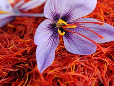 ������: ����, ������� ����� ����� ��� ������