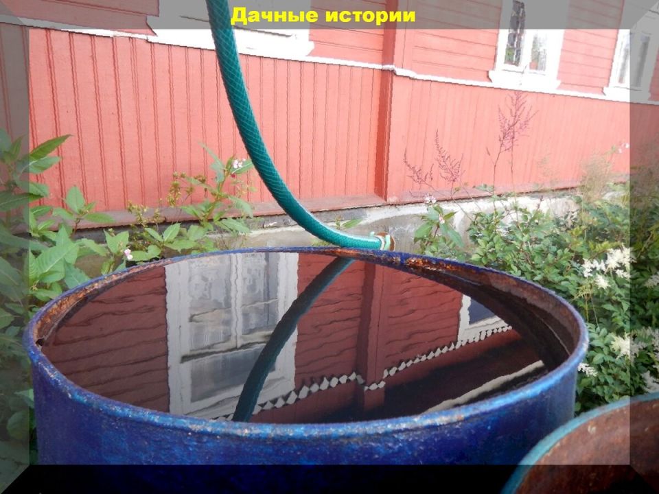 Подземный полив: решение для экономии воды и заботы о растениях