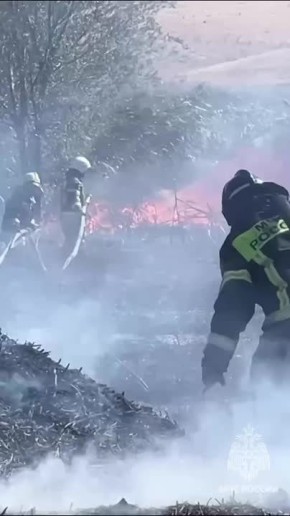 Внимание, уважаемые подписчики!