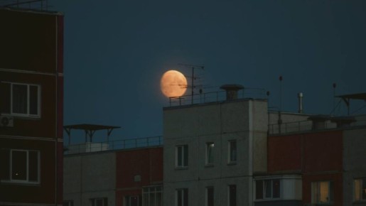 Как продлить жизнь утюгу: секреты эффективной глажки