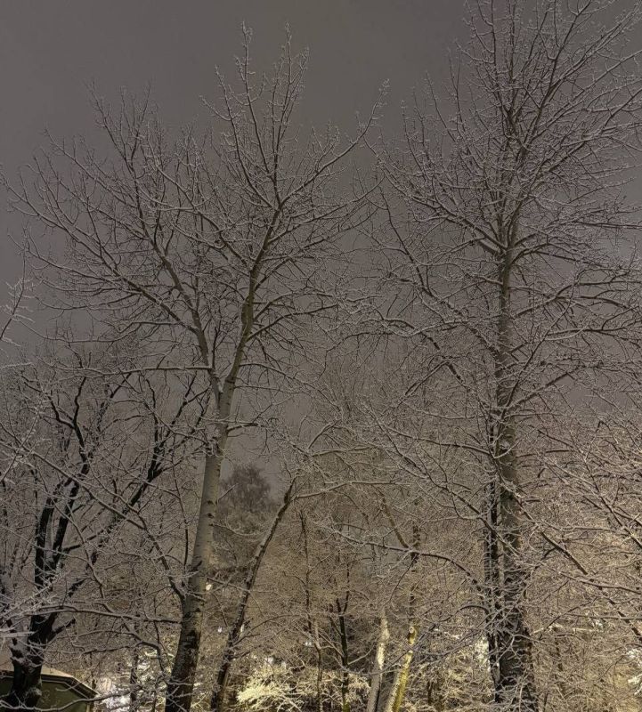 ������ ����!. ������� 3 ������, �������, �� ������������ ��� ������ �� ���� ����