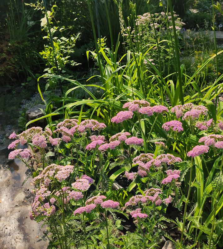 �������������: �� ������� �� �������� ����� ����������� �����