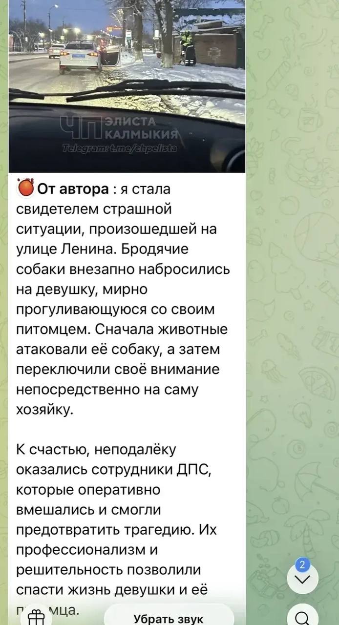 Герои рядом: трогательная история спасения из Калмыкии Герои рядом: трогательная история спасения из Калмыкии