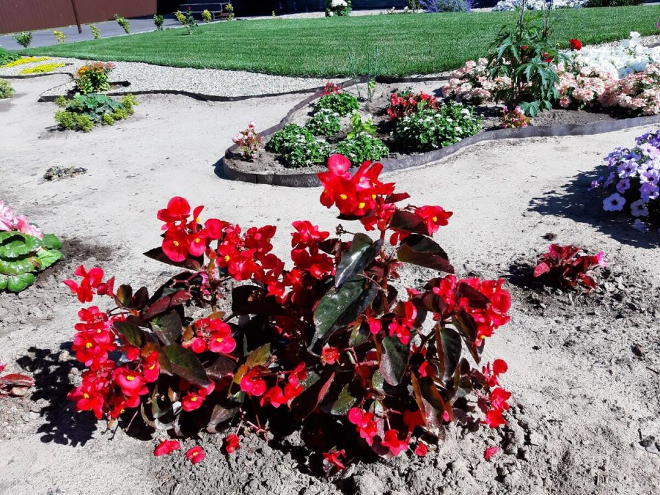 ������� ���: ����� ������ � ��������