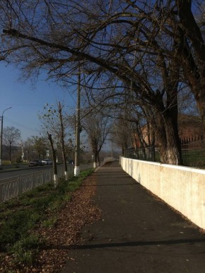 ������ ����!. ������� 5 ������, �����������, �� ������������ ��� ������ �� ���� ����