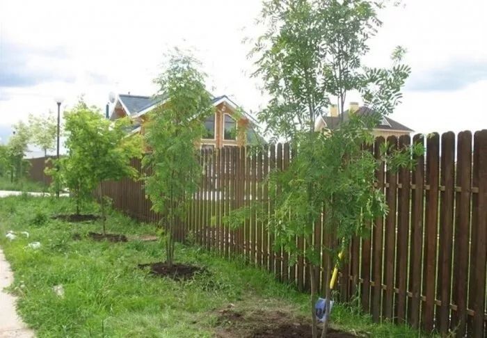 ��������� �������: ��� �������� ���� ��������