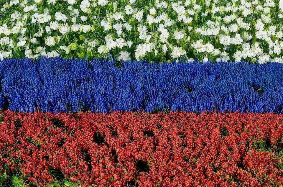 ����� ����������� � ������: ��� ��� ��������� �� ������� � ���������?