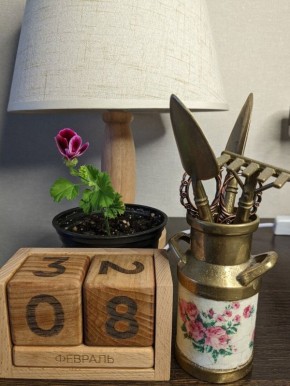 Как справиться с вызовами садоводства: советы и секреты опытных дачников