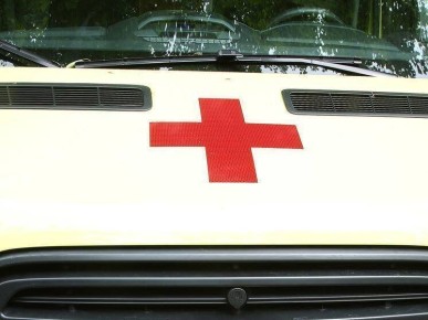 Сколько мандаринов стоит съедать в день, чтобы не навредить здоровью?