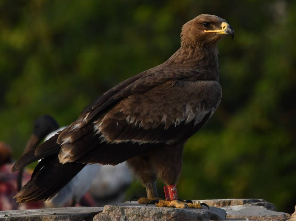 ��� �� �������� ��������� � �����!