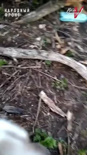 ���� �� �������� ������ ������ ������� ������� ������������� ����� ����� �� ���������