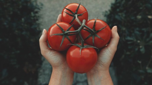 �� ������ ������������� �� ��������: ������ ����� �������� ����� ������� � ��������