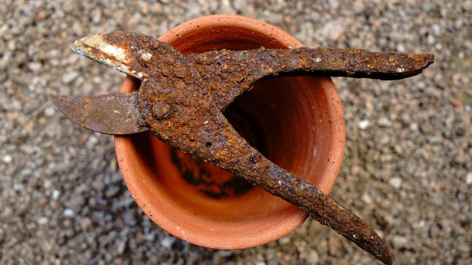 ����������� ������� ����������� ������� ����� ����� ���������: ������� ��� ���������