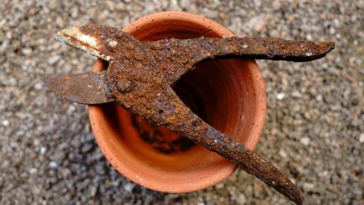 ����������� ������� ����������� ������� ����� ����� ���������: ������� ��� ���������