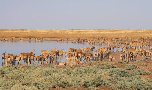 ������� � ���� ������������ � ������������ ������