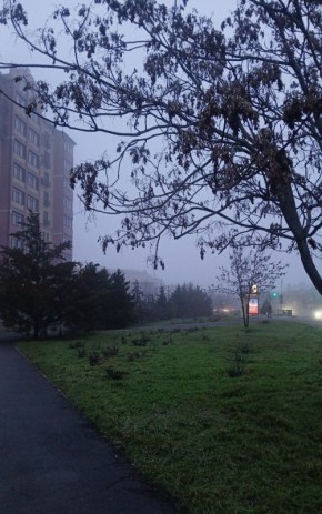 Доброе утро!. Сегодня 11 января, воскресенье, мы представляем вам погоду на этот день